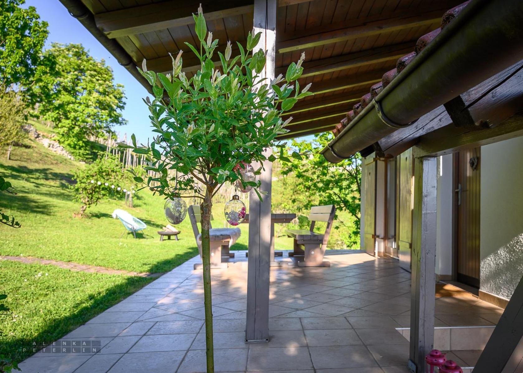 נובו מסטו Vineyard Cottage Klemencic מראה חיצוני תמונה